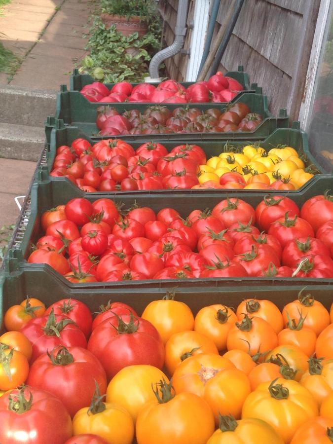 Nettles Farm Hotel Lummi Island Luaran gambar